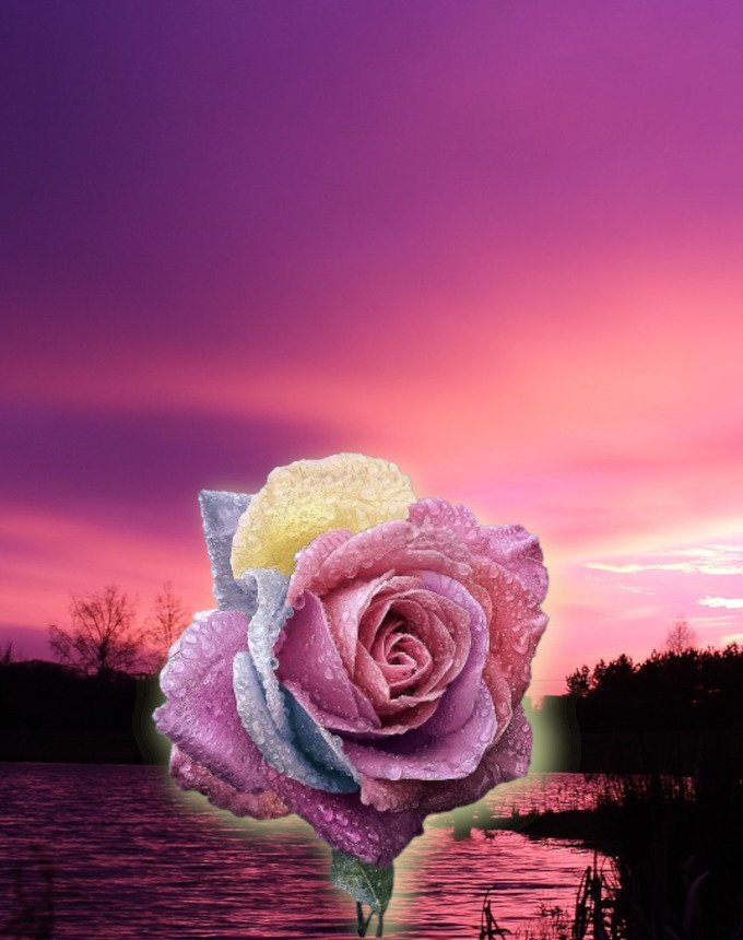 Bautyful dream