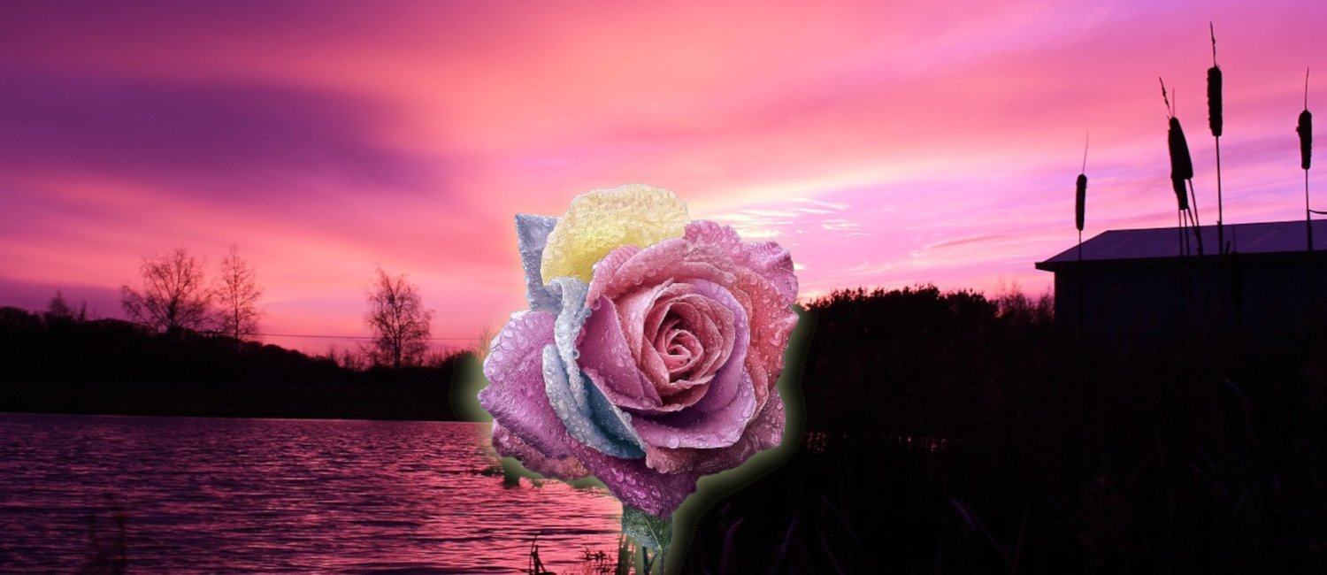 Beauty dream